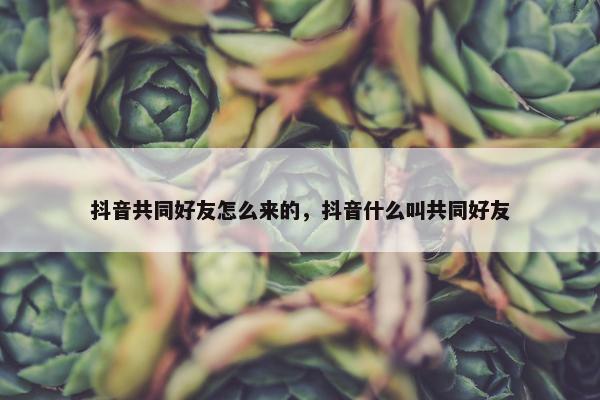 抖音共同好友怎么来的，抖音什么叫共同好友