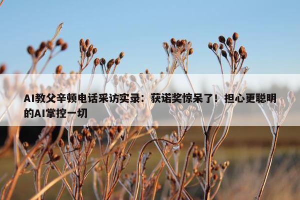 AI教父辛顿电话采访实录：获诺奖惊呆了！担心更聪明的AI掌控一切