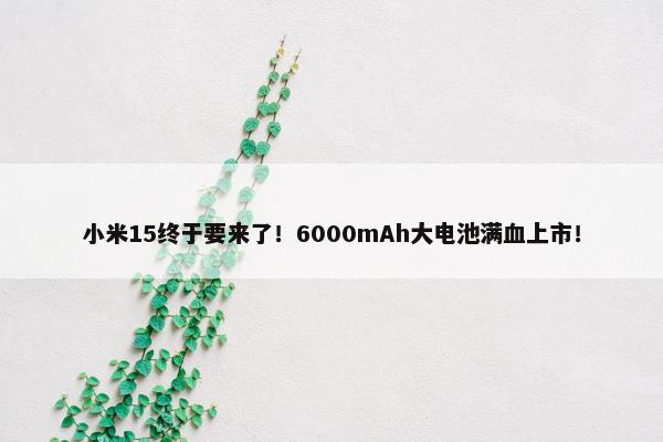 小米15终于要来了！6000mAh大电池满血上市！