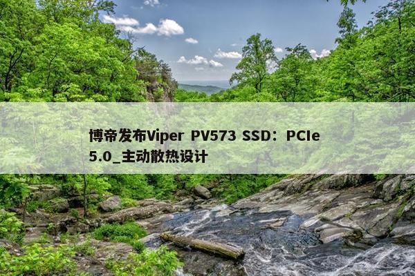 博帝发布Viper PV573 SSD：PCIe 5.0_主动散热设计