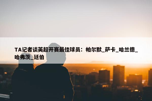 TA记者谈英超开赛最佳球员：帕尔默_萨卡_哈兰德_哈弗茨_廷伯