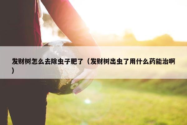 发财树怎么去除虫子肥了（发财树出虫了用什么药能治啊）