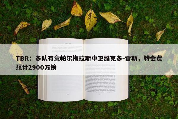 TBR：多队有意帕尔梅拉斯中卫维克多-雷斯，转会费预计2900万镑