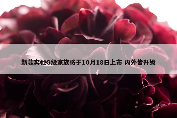 新款奔驰G级家族将于10月18日上市 内外皆升级