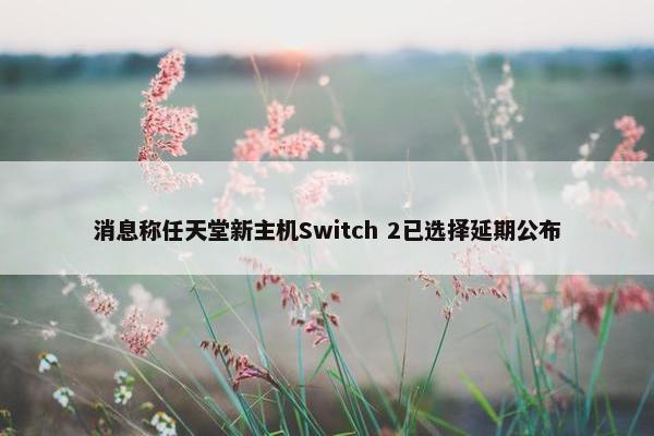 消息称任天堂新主机Switch 2已选择延期公布