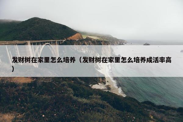 发财树在家里怎么培养（发财树在家里怎么培养成活率高）