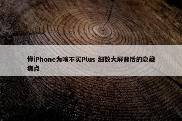 懂iPhone为啥不买Plus 细数大屏背后的隐藏痛点