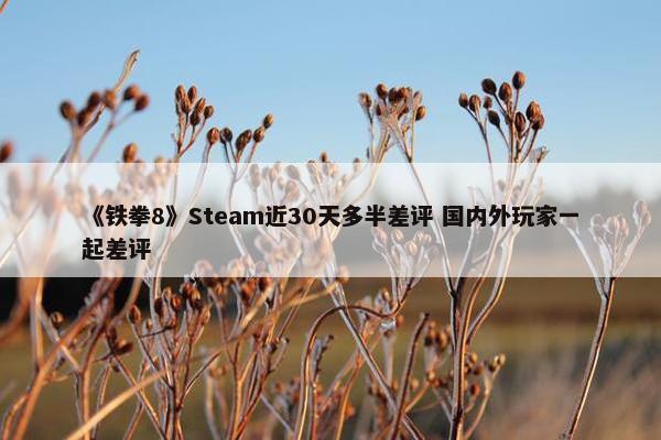 《铁拳8》Steam近30天多半差评 国内外玩家一起差评