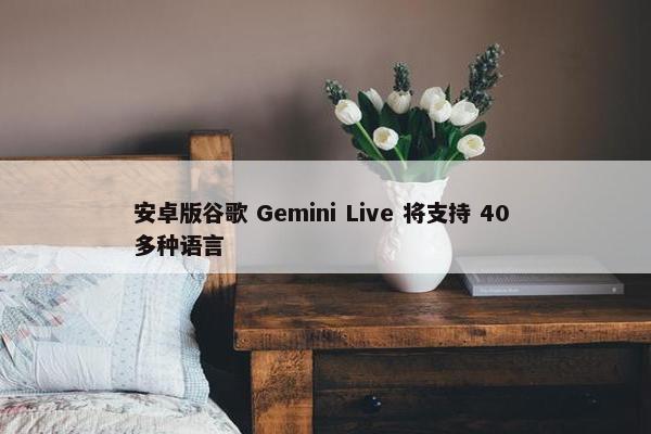 安卓版谷歌 Gemini Live 将支持 40 多种语言