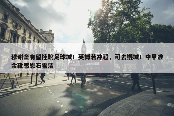 穆谢奎有望挂靴足球城！英博若冲超，可去鲲城！中甲准金靴感恩石雪清