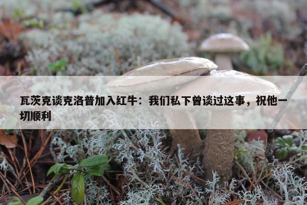 瓦茨克谈克洛普加入红牛：我们私下曾谈过这事，祝他一切顺利