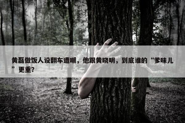 黄磊做饭人设翻车遭嘲，他跟黄晓明，到底谁的“爹味儿”更重？