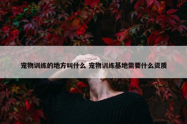 宠物训练的地方叫什么 宠物训练基地需要什么资质