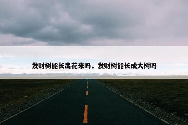 发财树能长出花来吗，发财树能长成大树吗