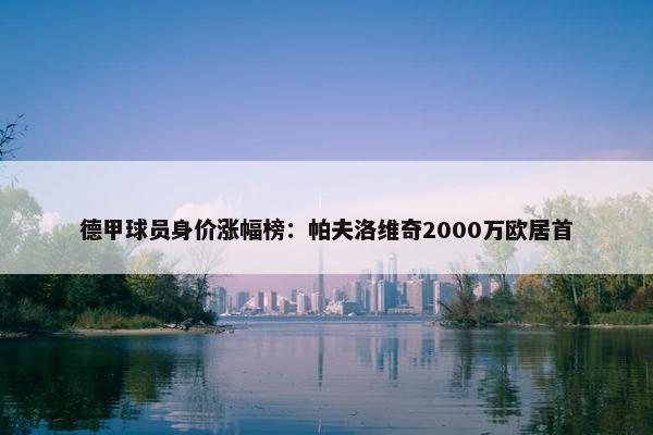 德甲球员身价涨幅榜：帕夫洛维奇2000万欧居首