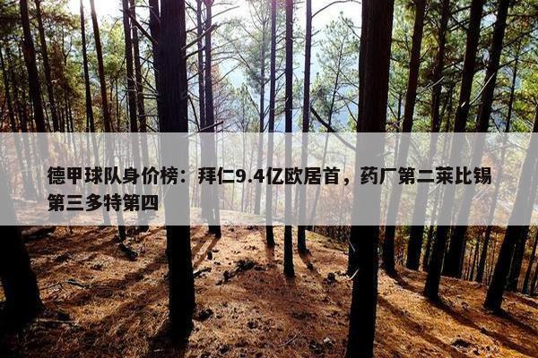 德甲球队身价榜：拜仁9.4亿欧居首，药厂第二莱比锡第三多特第四