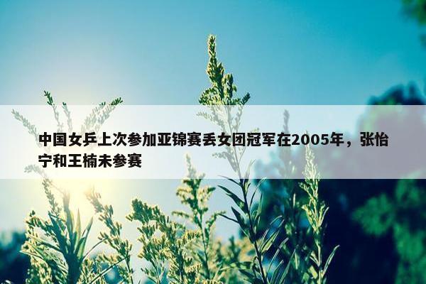 中国女乒上次参加亚锦赛丢女团冠军在2005年，张怡宁和王楠未参赛