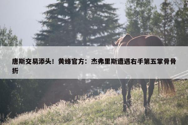 唐斯交易添头！黄蜂官方：杰弗里斯遭遇右手第五掌骨骨折