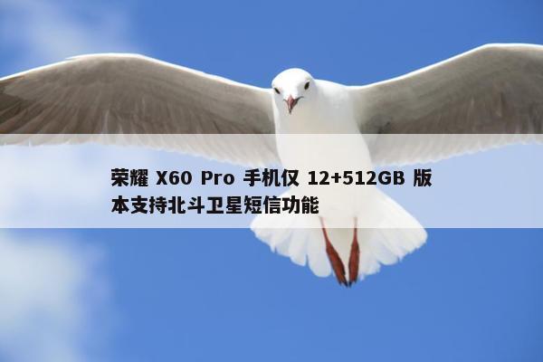 荣耀 X60 Pro 手机仅 12+512GB 版本支持北斗卫星短信功能