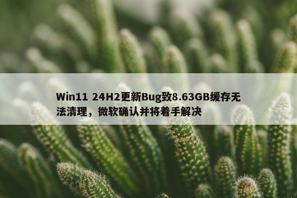 Win11 24H2更新Bug致8.63GB缓存无法清理，微软确认并将着手解决