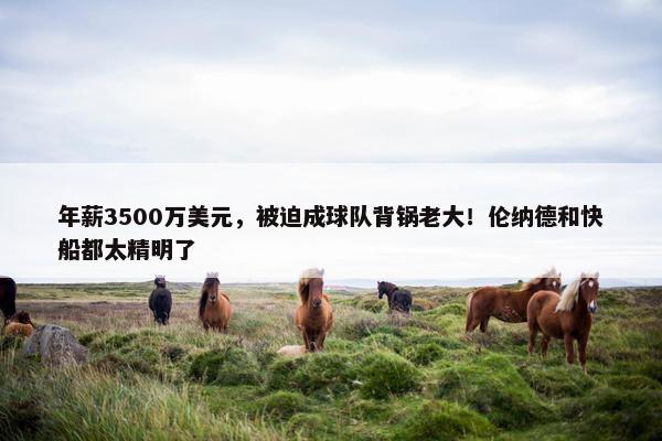 年薪3500万美元，被迫成球队背锅老大！伦纳德和快船都太精明了