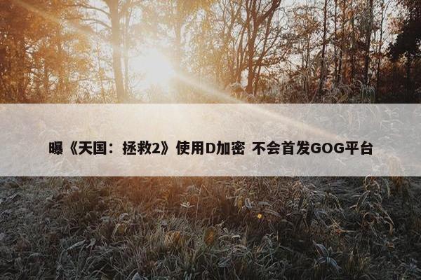 曝《天国：拯救2》使用D加密 不会首发GOG平台