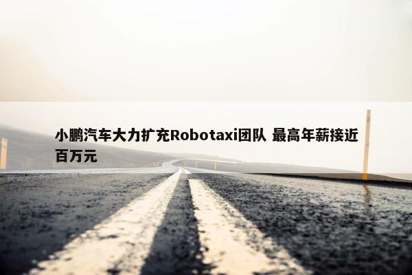 小鹏汽车大力扩充Robotaxi团队 最高年薪接近百万元