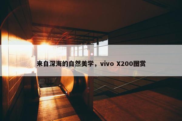 来自深海的自然美学，vivo X200图赏