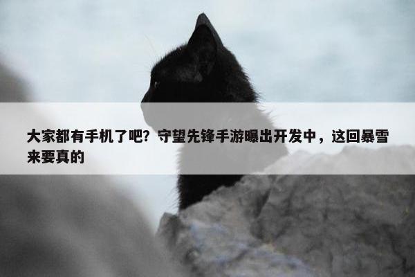 大家都有手机了吧？守望先锋手游曝出开发中，这回暴雪来要真的