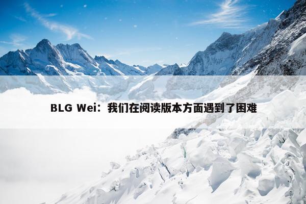 BLG Wei：我们在阅读版本方面遇到了困难