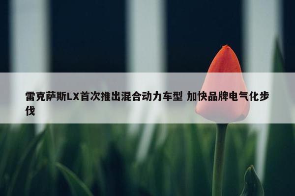 雷克萨斯LX首次推出混合动力车型 加快品牌电气化步伐