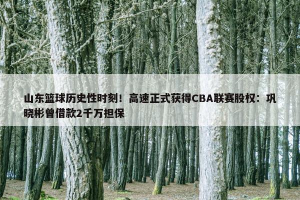 山东篮球历史性时刻！高速正式获得CBA联赛股权：巩晓彬曾借款2千万担保