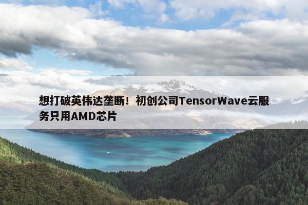 想打破英伟达垄断！初创公司TensorWave云服务只用AMD芯片