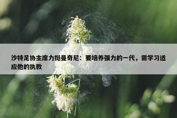 沙特足协主席力挺曼奇尼：要培养强力的一代，需学习适应他的执教