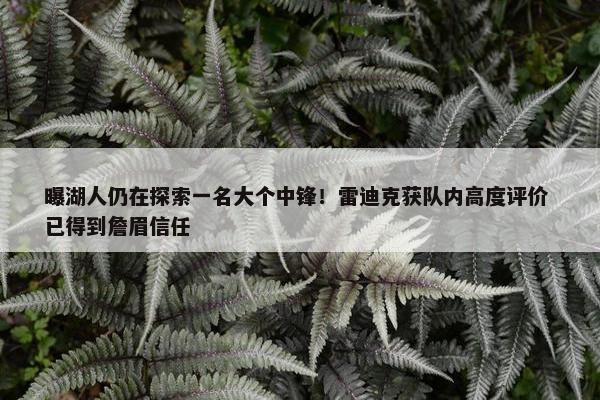 曝湖人仍在探索一名大个中锋！雷迪克获队内高度评价 已得到詹眉信任