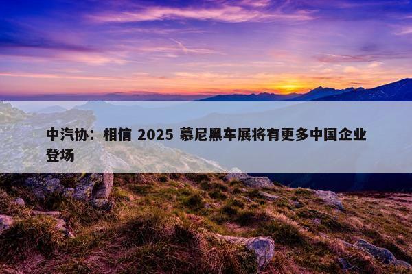 中汽协：相信 2025 慕尼黑车展将有更多中国企业登场