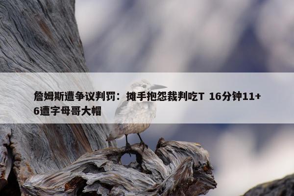 詹姆斯遭争议判罚：摊手抱怨裁判吃T 16分钟11+6遭字母哥大帽