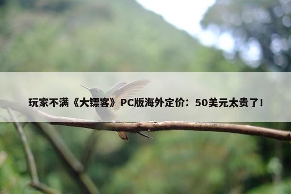 玩家不满《大镖客》PC版海外定价：50美元太贵了！