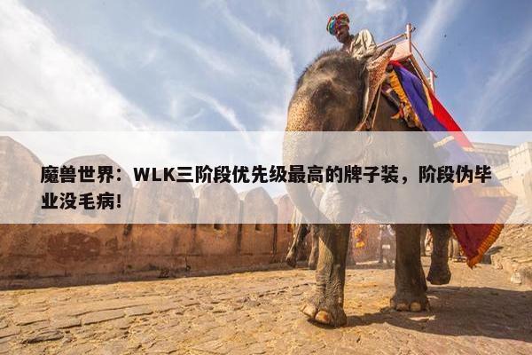 魔兽世界：WLK三阶段优先级最高的牌子装，阶段伪毕业没毛病！