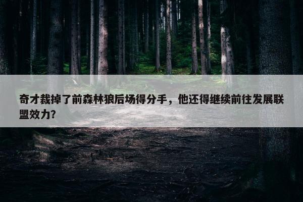 奇才裁掉了前森林狼后场得分手，他还得继续前往发展联盟效力？