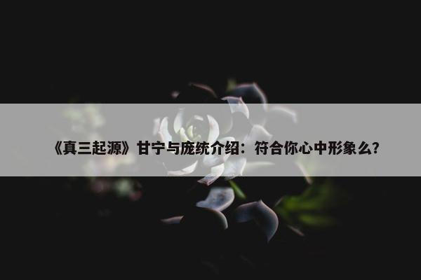 《真三起源》甘宁与庞统介绍：符合你心中形象么？