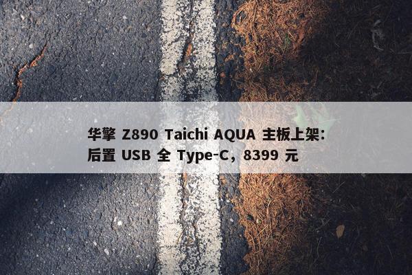 华擎 Z890 Taichi AQUA 主板上架：后置 USB 全 Type-C，8399 元