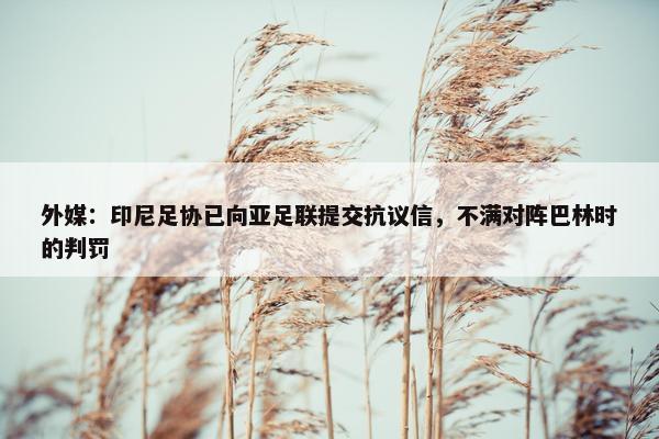 外媒：印尼足协已向亚足联提交抗议信，不满对阵巴林时的判罚