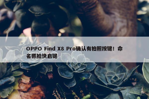 OPPO Find X8 Pro确认有拍照按键！命名抓拍快启键