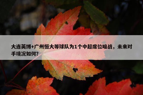 大连英博+广州恒大等球队为1个中超席位暗战，未来对手境况如何？