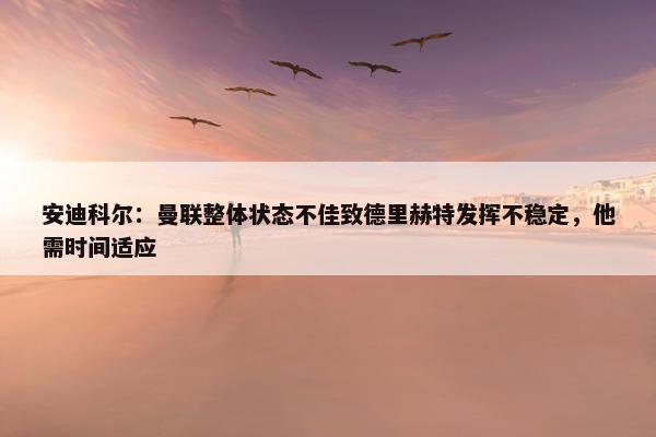 安迪科尔：曼联整体状态不佳致德里赫特发挥不稳定，他需时间适应