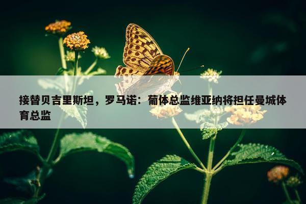 接替贝吉里斯坦，罗马诺：葡体总监维亚纳将担任曼城体育总监