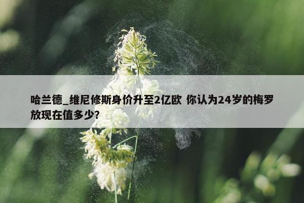 哈兰德_维尼修斯身价升至2亿欧 你认为24岁的梅罗放现在值多少？