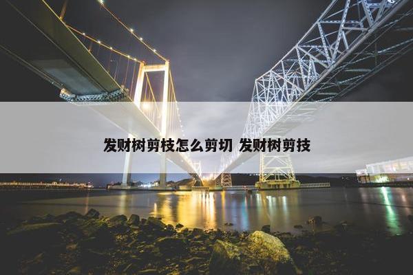 发财树剪枝怎么剪切 发财树剪技