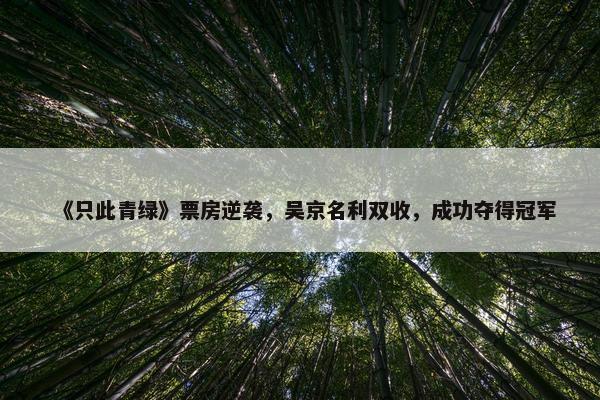 《只此青绿》票房逆袭，吴京名利双收，成功夺得冠军